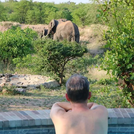 Bushvilla Umoja Kruger Phalaborwa Exterior photo
